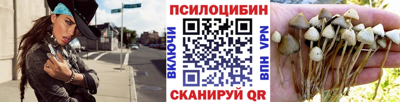 Галлюциногенные грибы GOLDEN TEACHER Кондрово